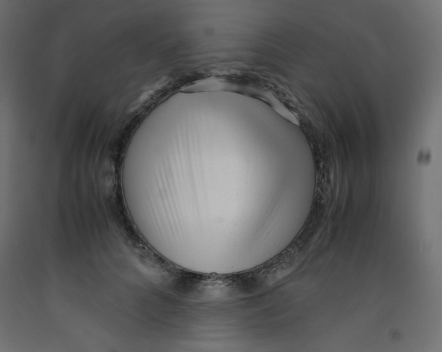 X0000092310704200710121458