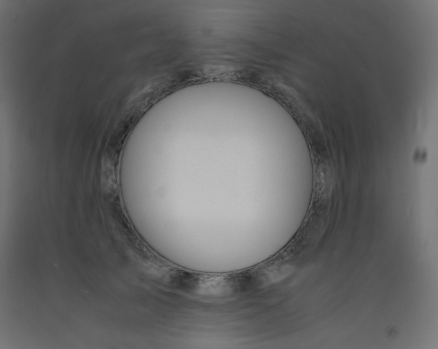 X0000092310705200710121458