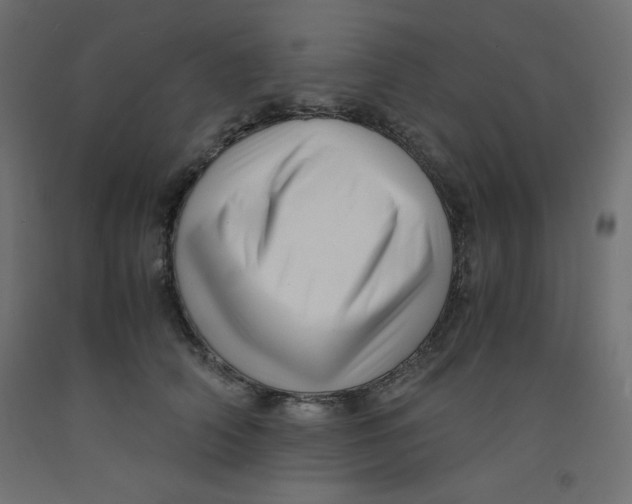 X0000092310706200710121458