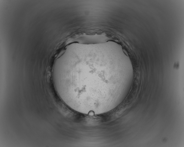 X0000092310707200710121458