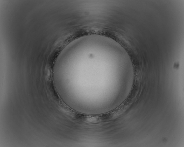 X0000092310709200710121458