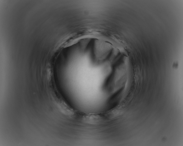 X0000092310716200710121458
