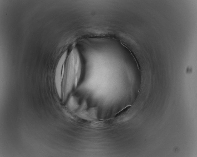 X0000092310720200710121458