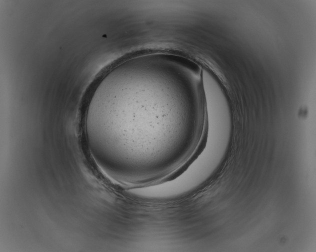 X0000092310724200710121458