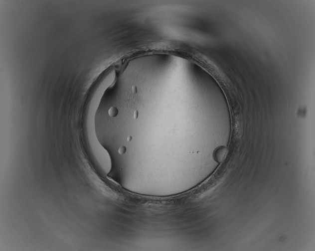 X0000092310725200710121458