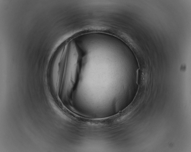 X0000092310726200710121458
