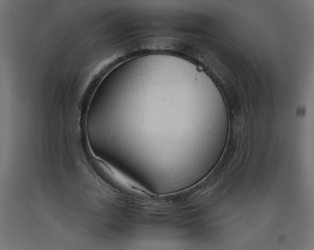 X0000092310727200710121458