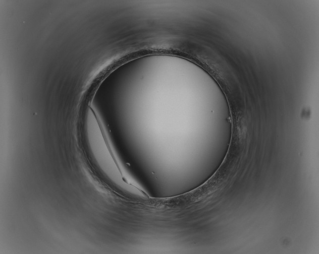 X0000092310728200710121458