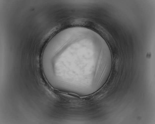 X0000092310729200710121458