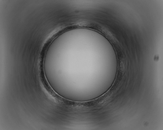 X0000092310730200710121458