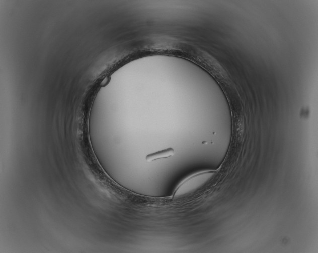 X0000092310732200710121458