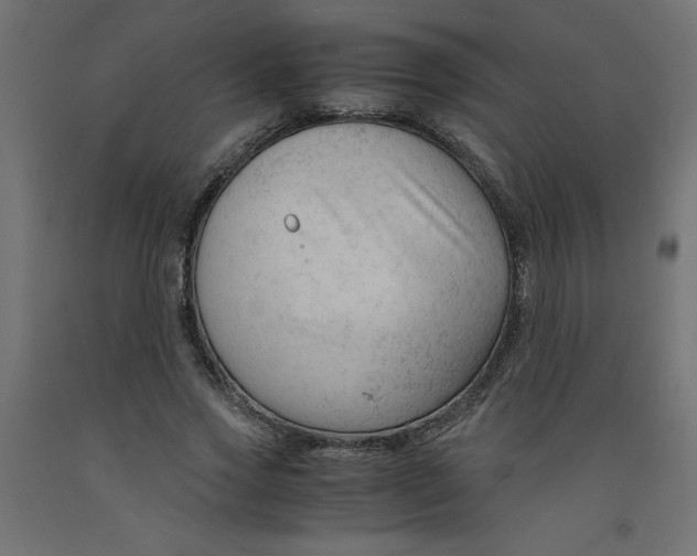 X0000092310733200710121458