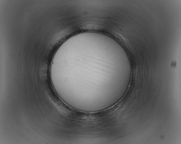 X0000092310735200710121458