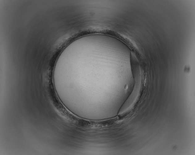 X0000092310736200710121458