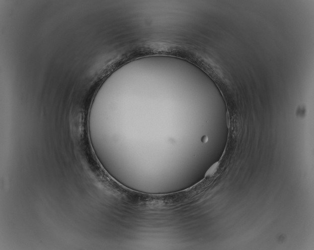 X0000092310740200710121458