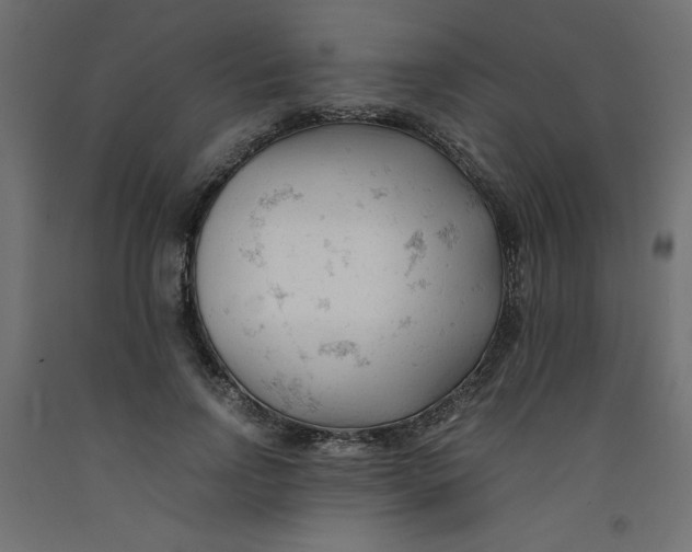X0000092310742200710121458