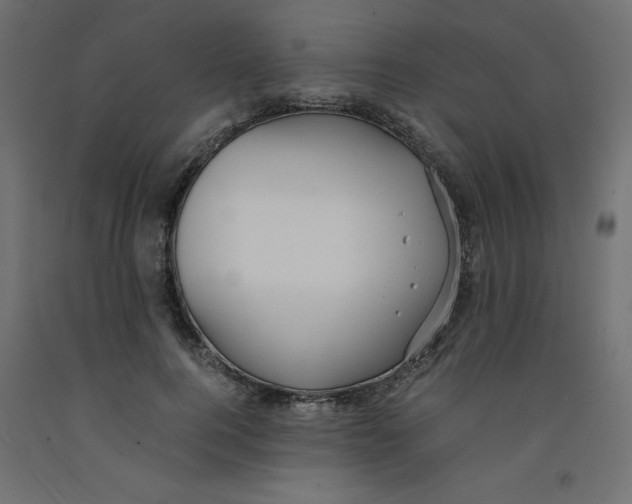 X0000092310744200710121458
