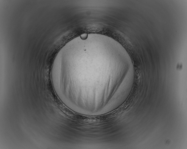 X0000092310745200710121458