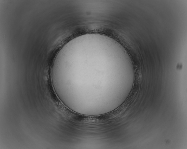 X0000092310746200710121458