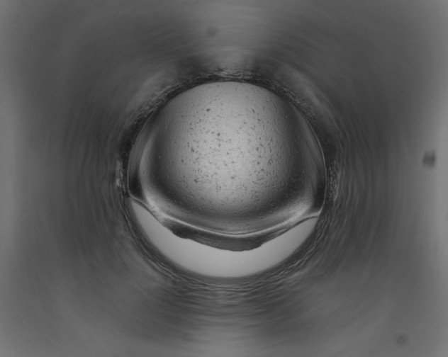 X0000092310748200710121458