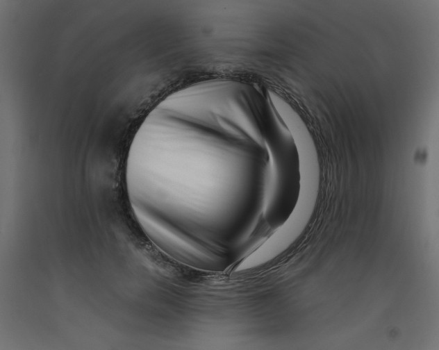 X0000092310750200710121458