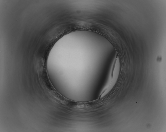 X0000092310752200710121458