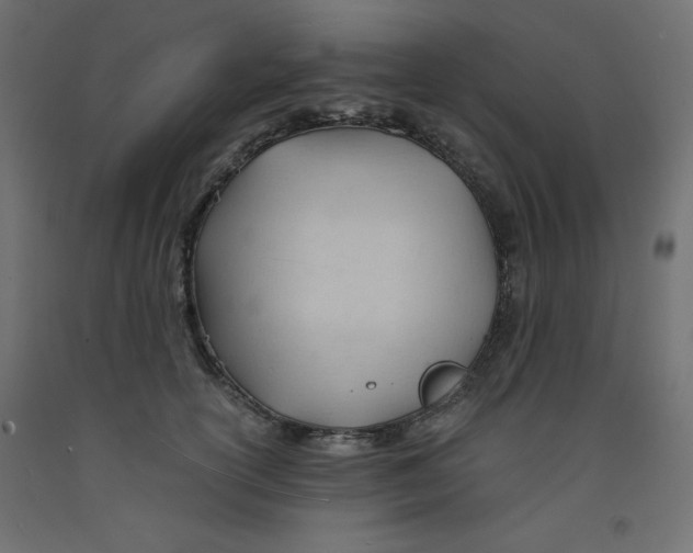 X0000092310754200710121458