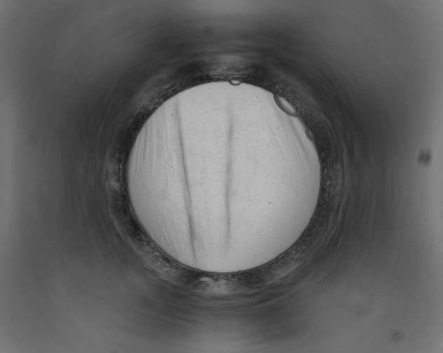 X0000092310755200710121458