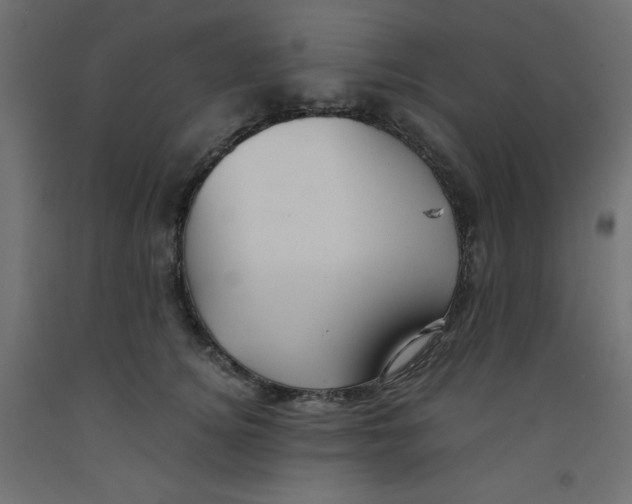 X0000092310756200710121458