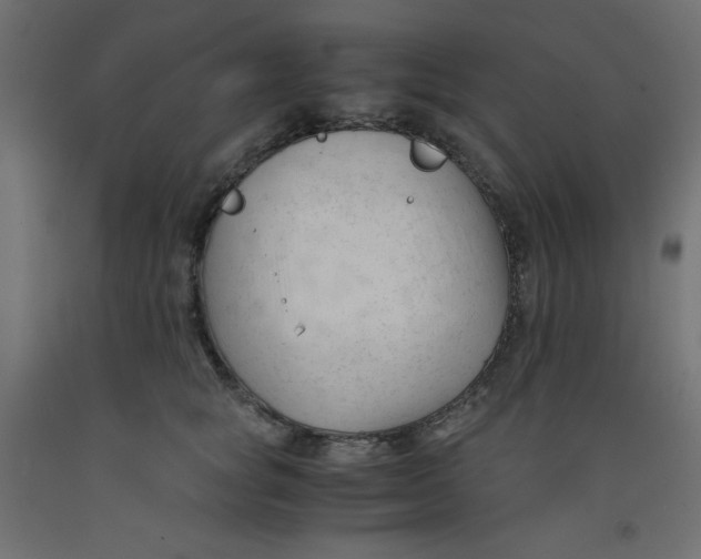 X0000092310757200710121458