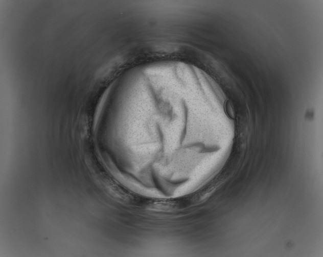 X0000092310758200710121458