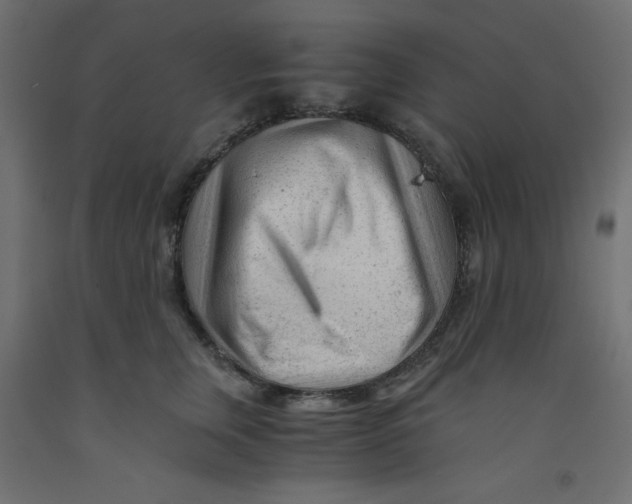 X0000092310759200710121458