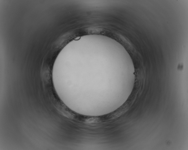 X0000092310761200710121458