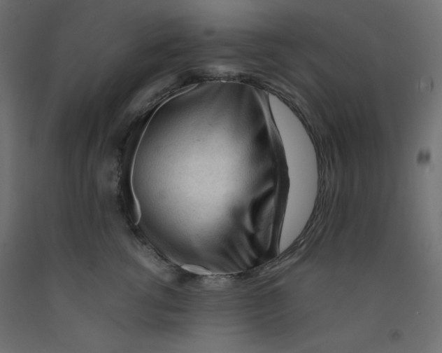 X0000092310762200710121458
