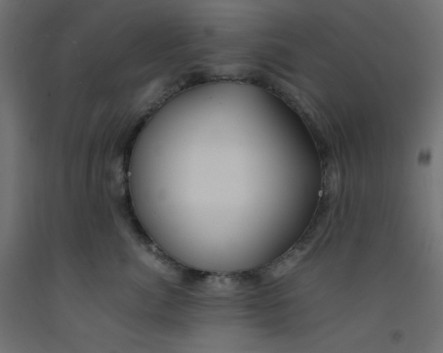 X0000092310764200710121458