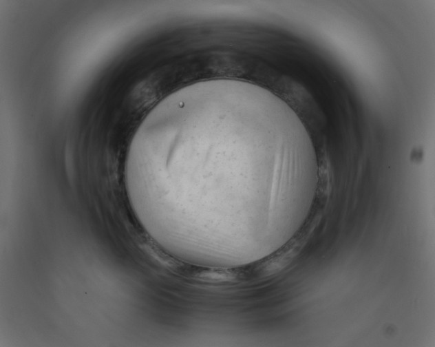 X0000092310765200710121458