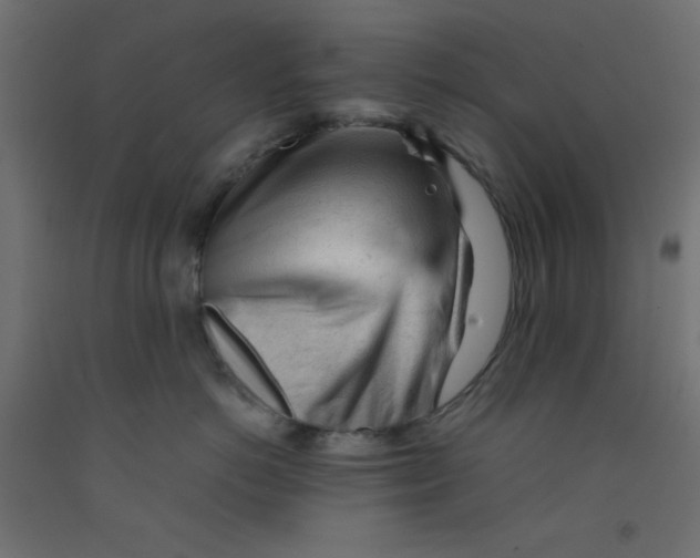 X0000092310766200710121458