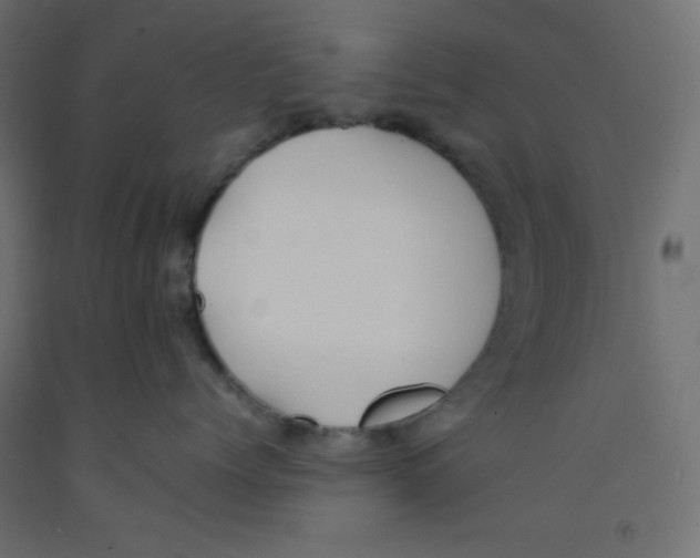 X0000092310768200710121458