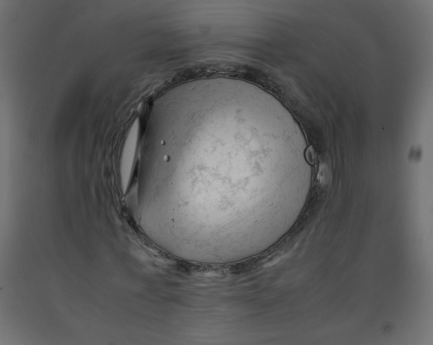 X0000092310771200710121457