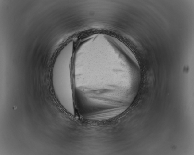X0000092310776200710121457