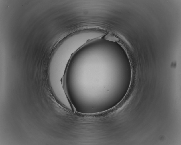 X0000092310777200710121457