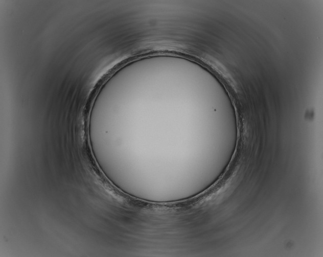 X0000092310782200710121457