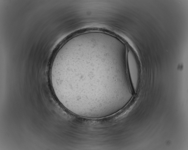 X0000092310783200710121457