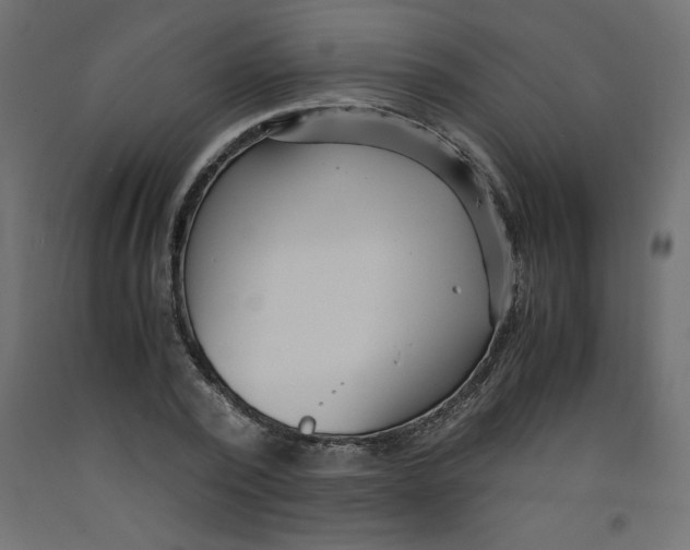 X0000092310784200710121457