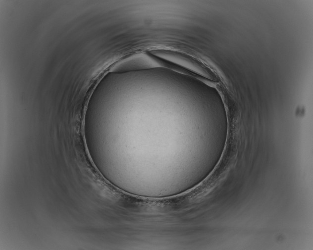 X0000092310785200710121457