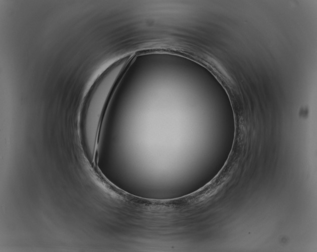 X0000092310788200710121457
