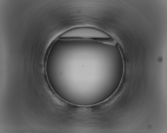 X0000092310789200710121457