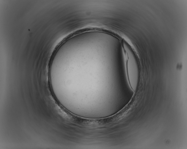 X0000092310791200710121457