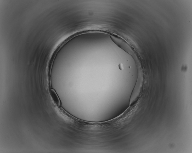 X0000092310792200710121457