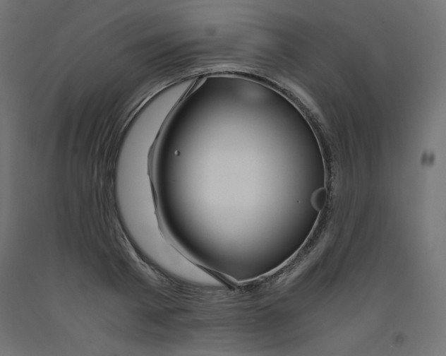 X0000092310793200710121457